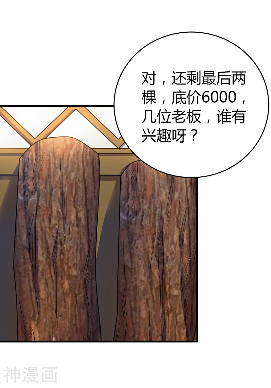 神藏韩漫全集-第48话 赌树2无删减无遮挡章节图片 